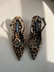 DOLCE&GABBANA